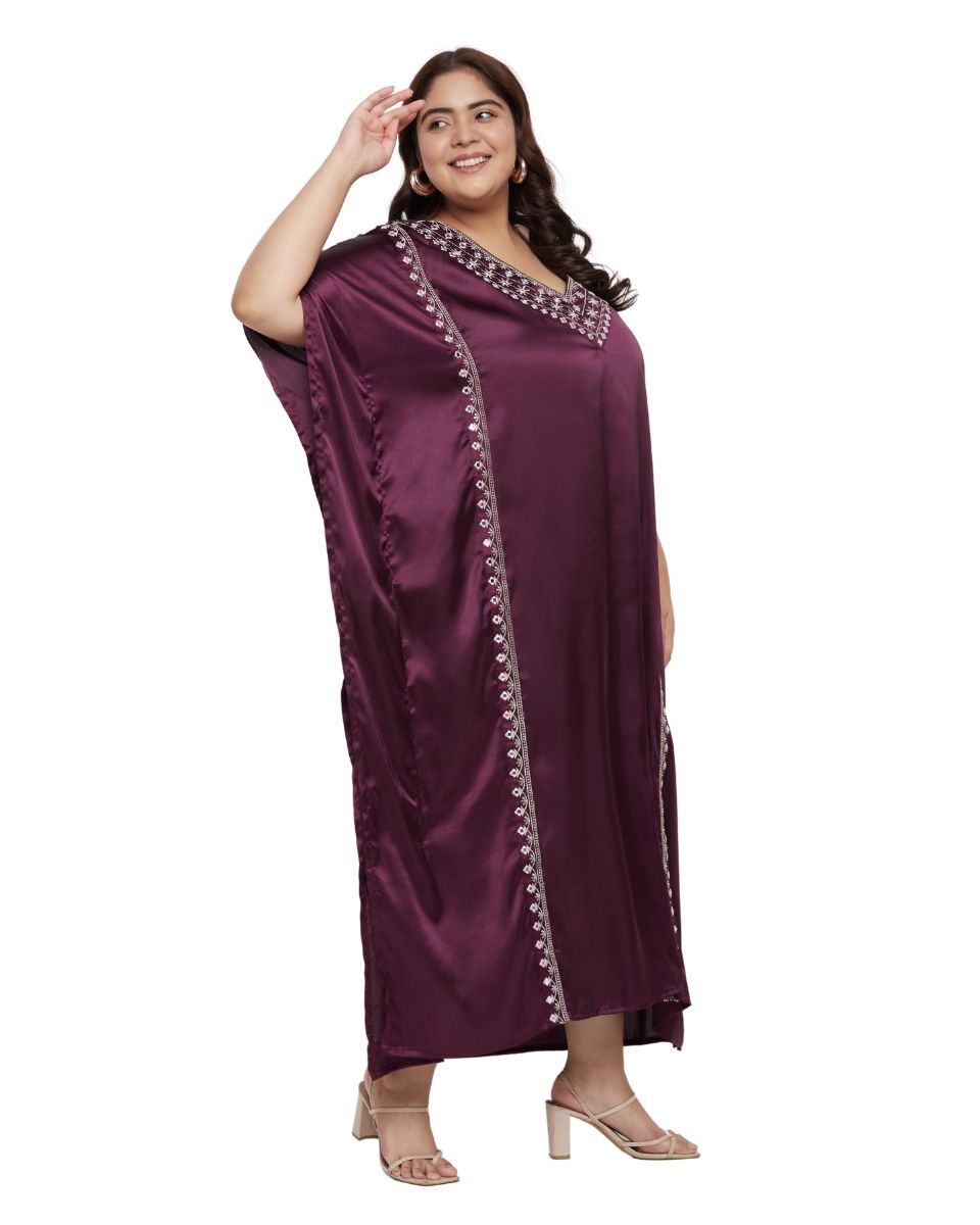 Luxurious Lace Detail Dress For Women